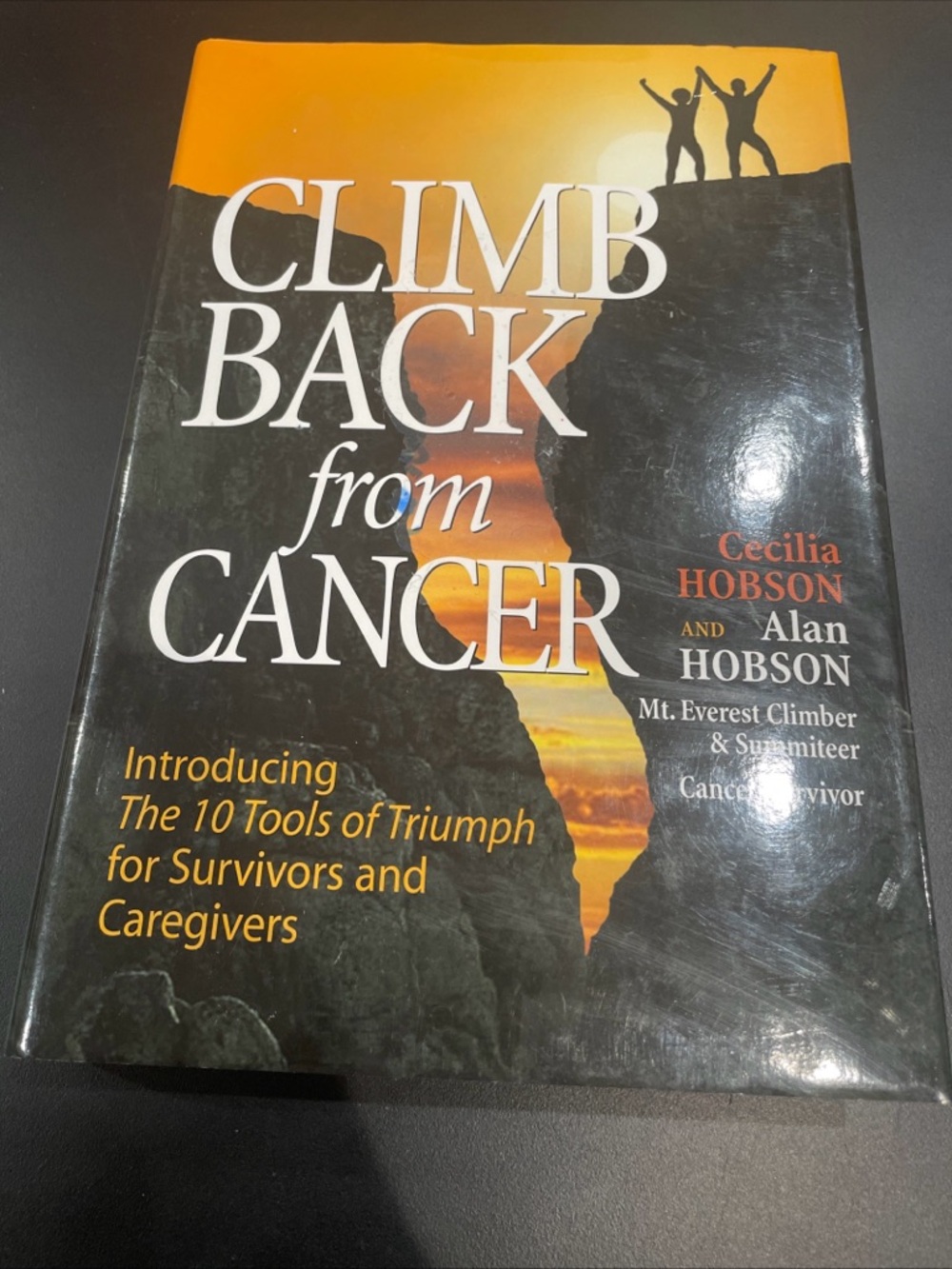 Climb Back from Cancer : A Survivor and Caregiver's Inspirational Journey by...